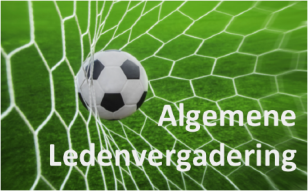 Algemene ledenvergadering (ALV)